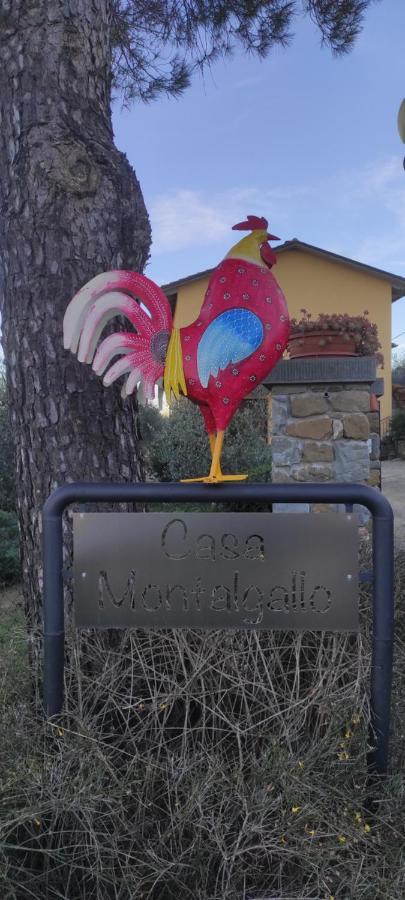 Casa Montalgallo Lucignano Esterno foto